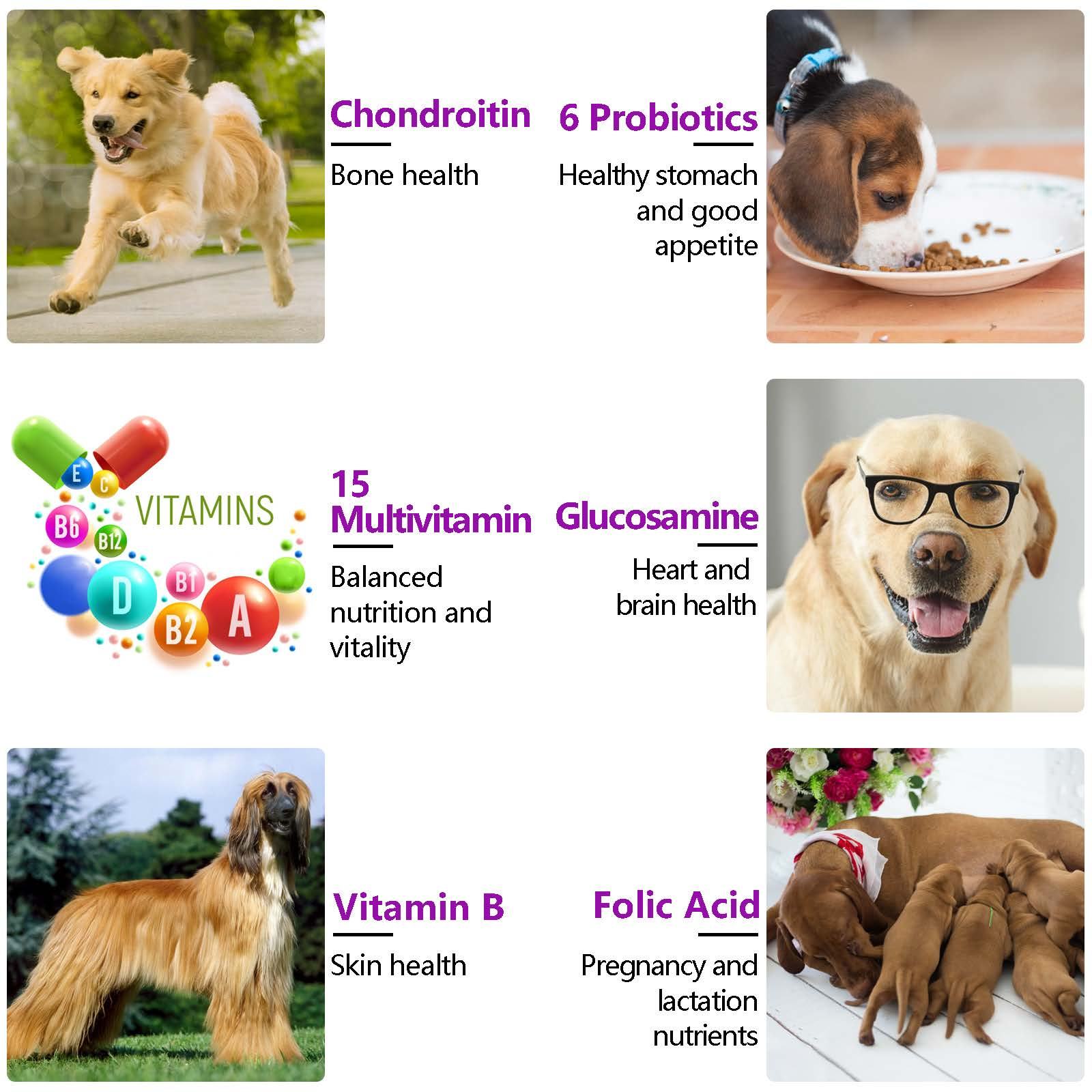 DoggyNutra 15-in-1 Multivitamin Chews for Dogs (150 Soft Chews)